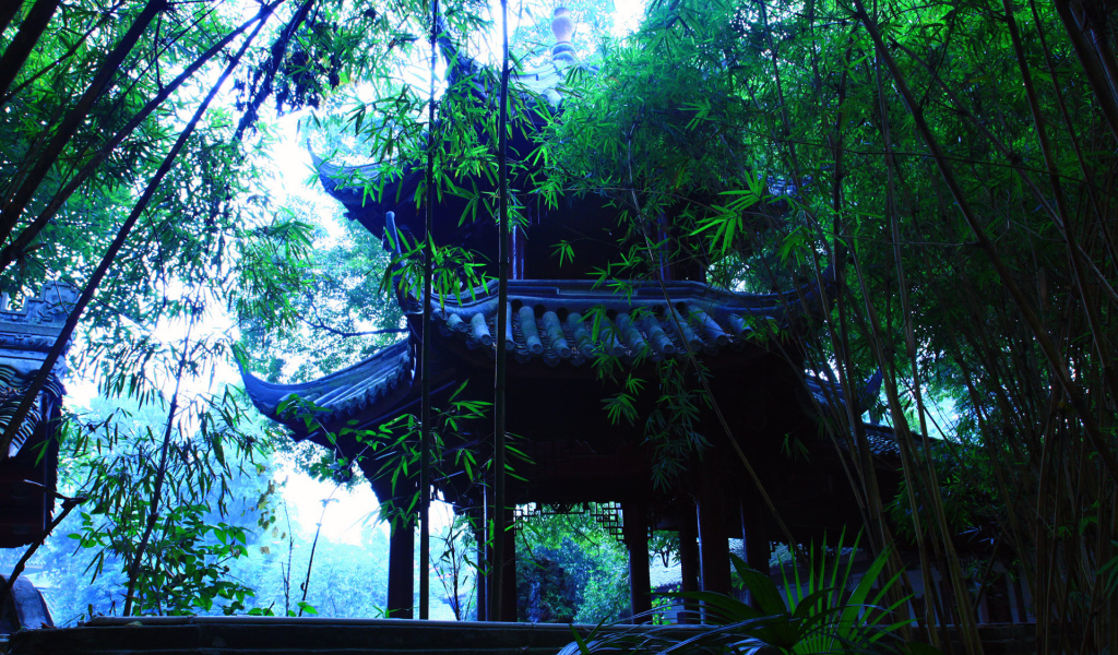 В японском саду