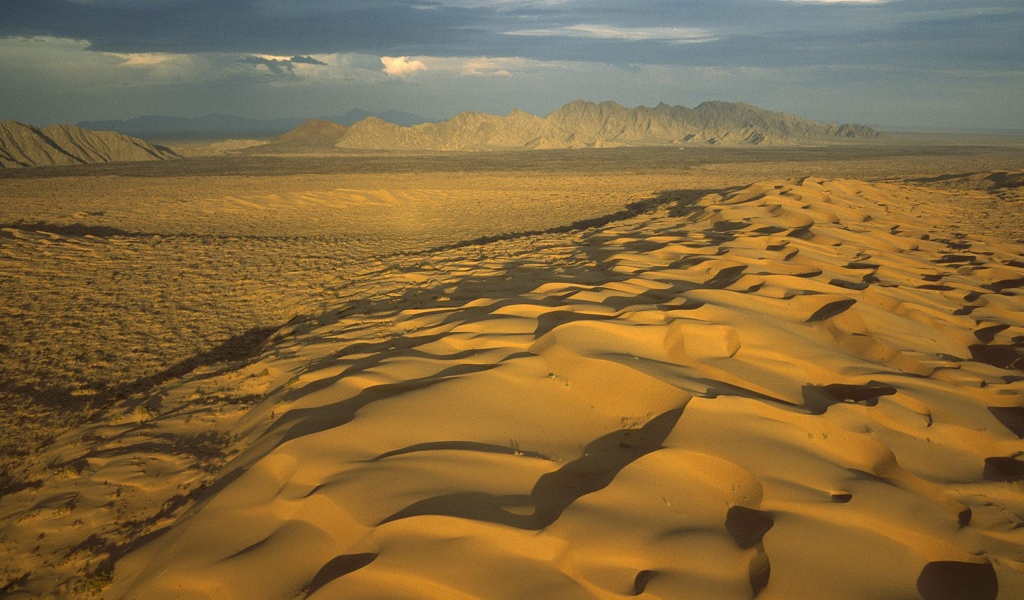 Мексиканская пустыня