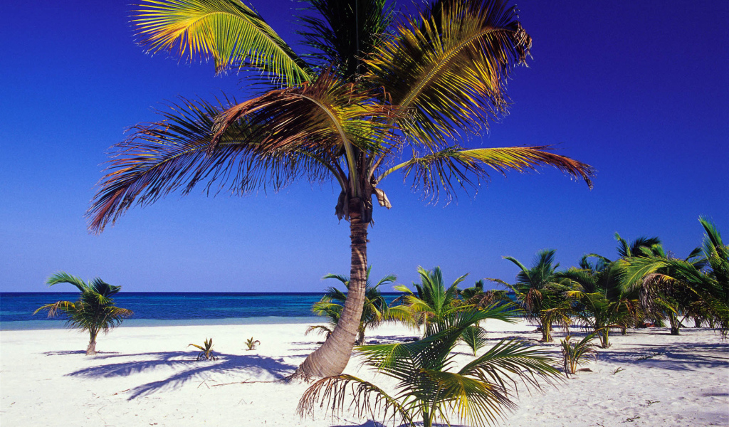 Мексиканский курорт