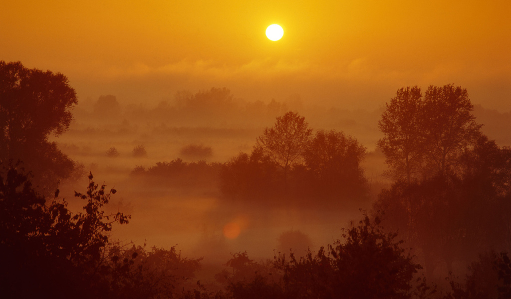 Туман на закате