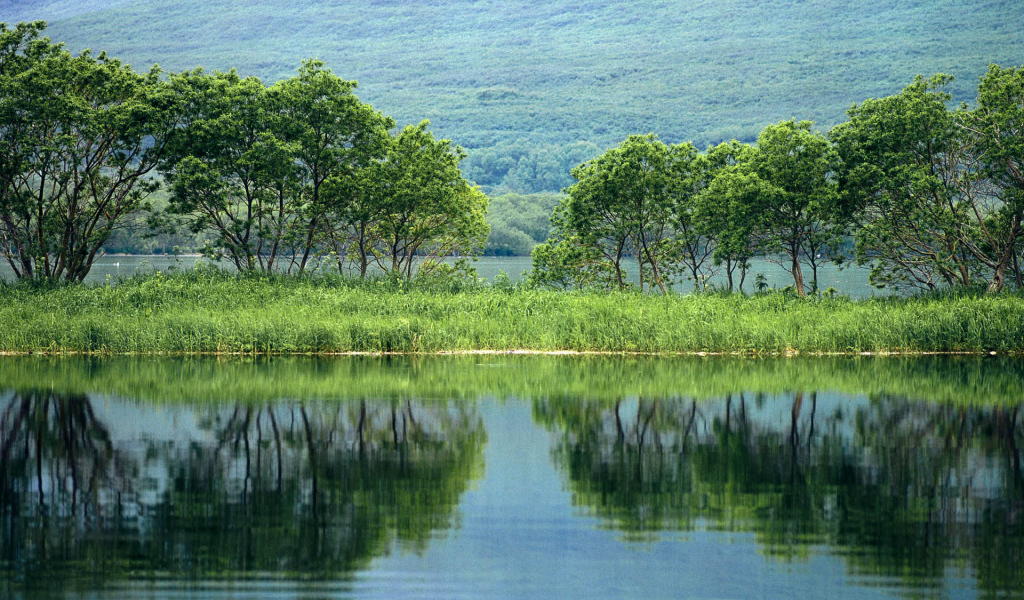 Природа России