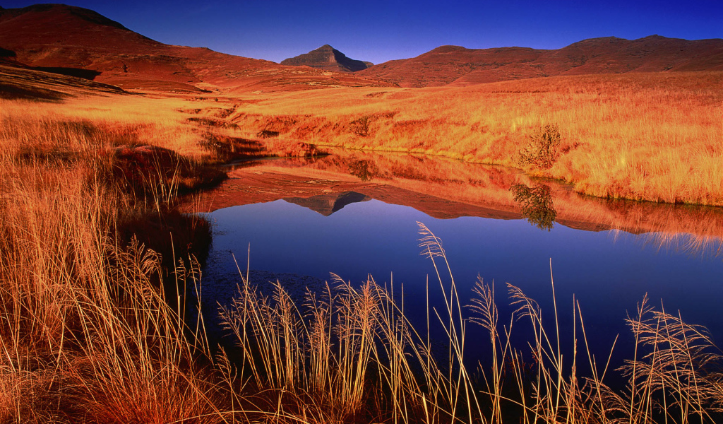 Небольшое озеро