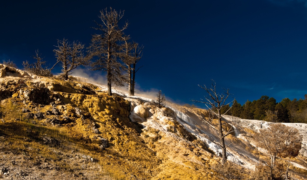 Природа в Йеллоустоуне США