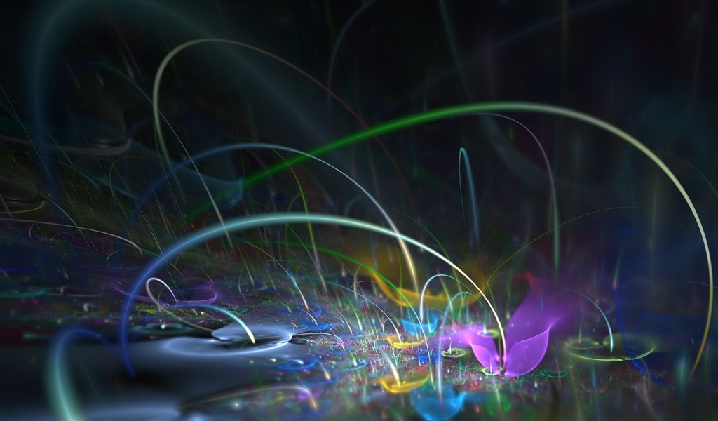 Разноцветные цветы и линии