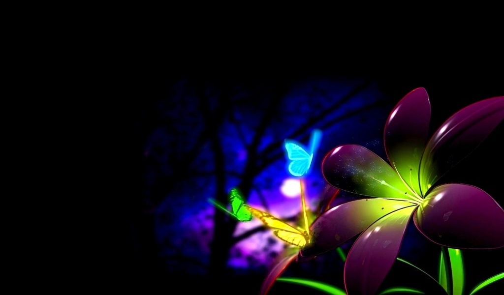 Цветок и бабочки в ночи