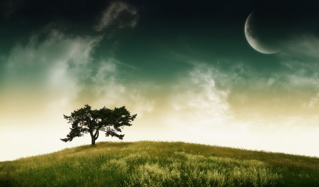 Дерево, небо, планета