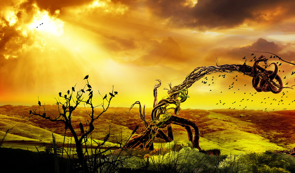 Дерево и птицы