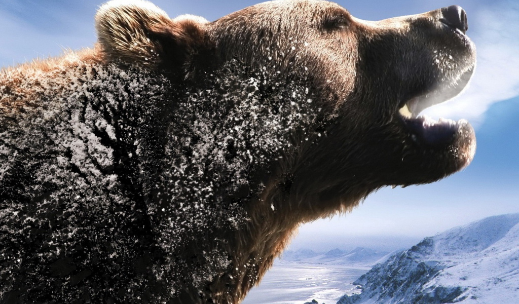 Рычащий медведь