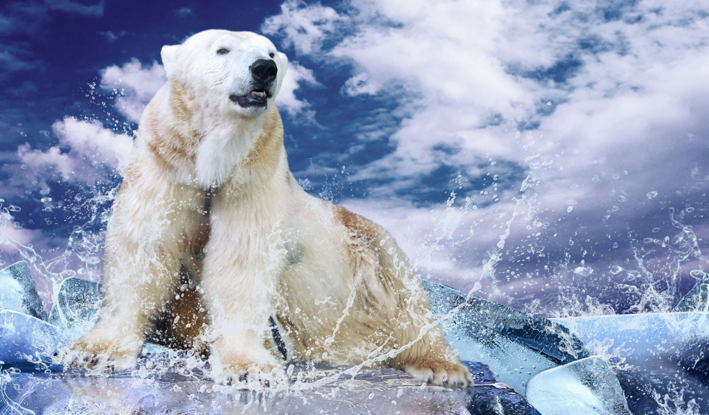 Белый медведь на льду