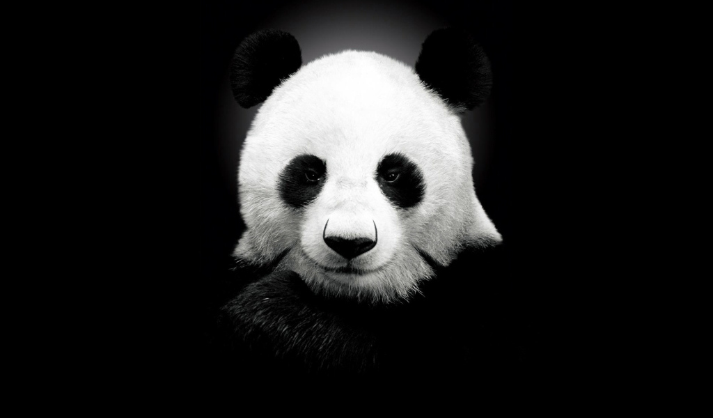 Панда