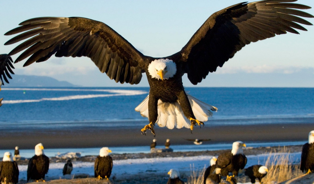 Грозный орел