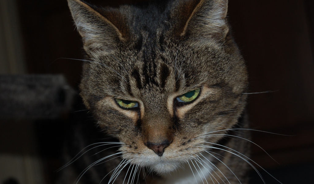 Весна сводит меня с ума