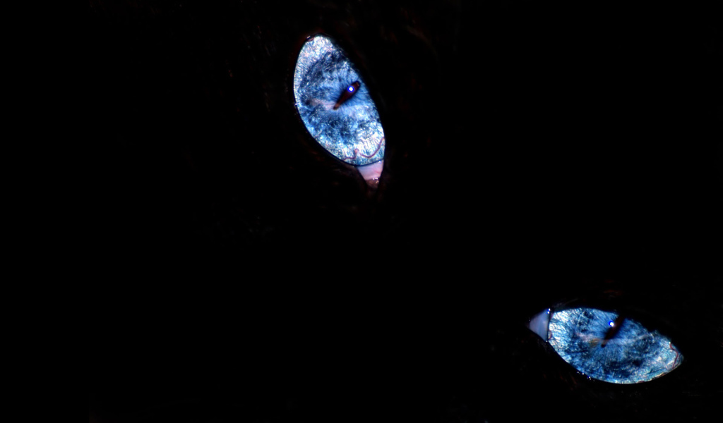 Эти глаза напротив