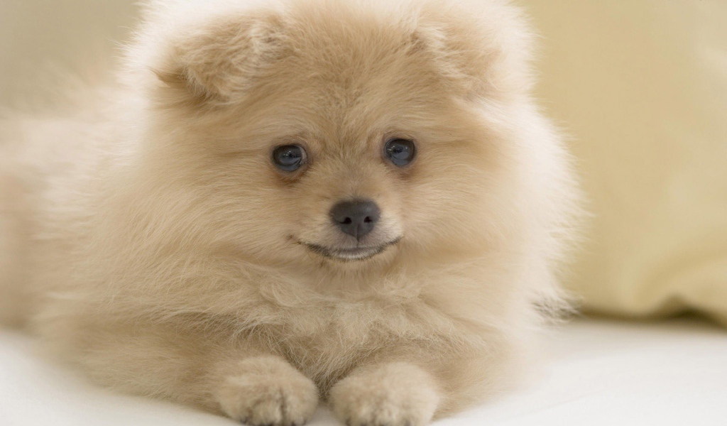 Я вам улыбаюсь