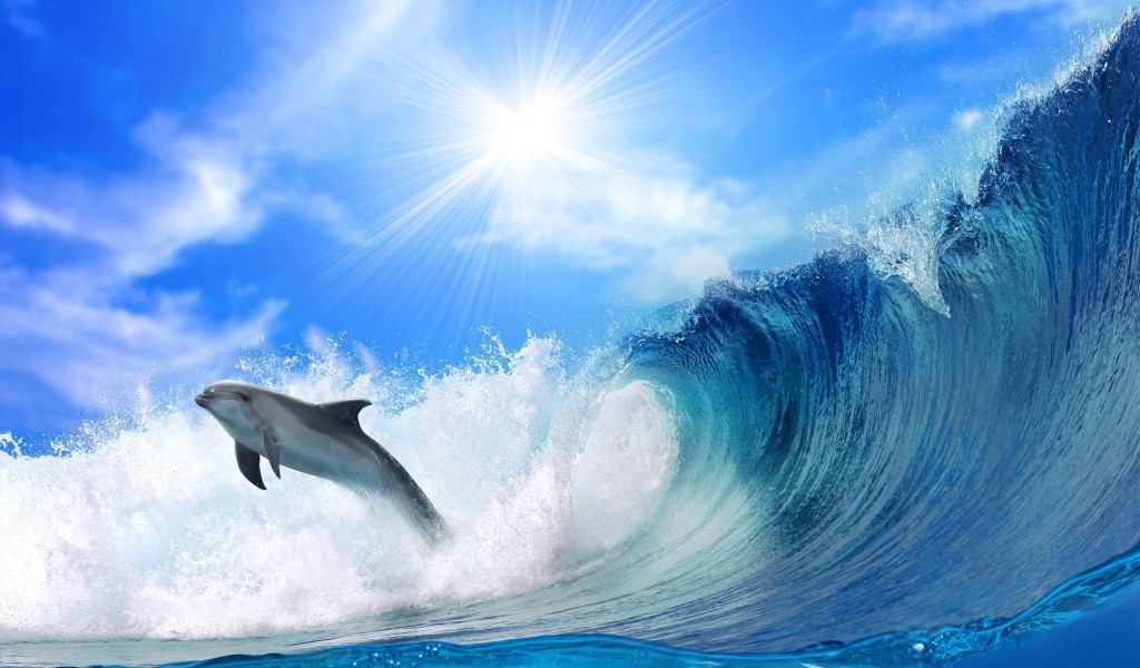 Дельфин перед волной