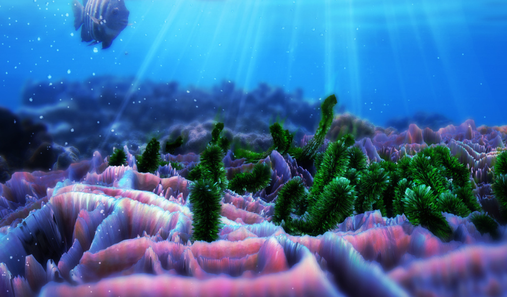 Жители морского дна