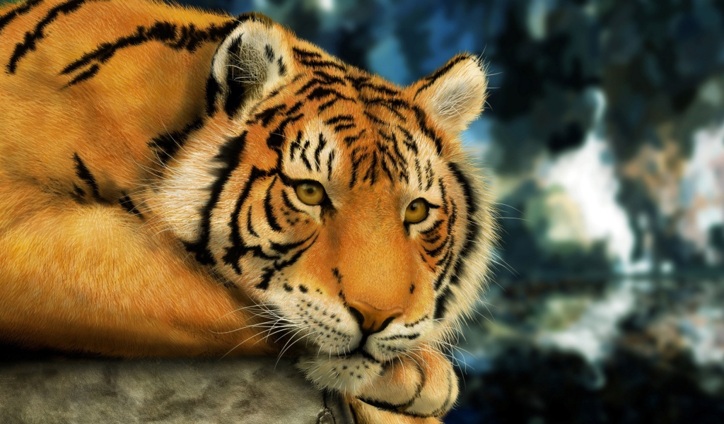 Взгляд тигра