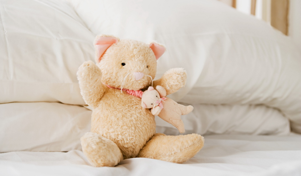 Плюшевые кошка и мышка