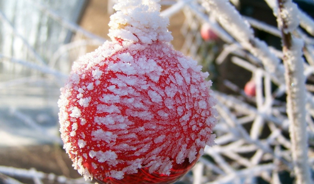 Оледеневший шар
