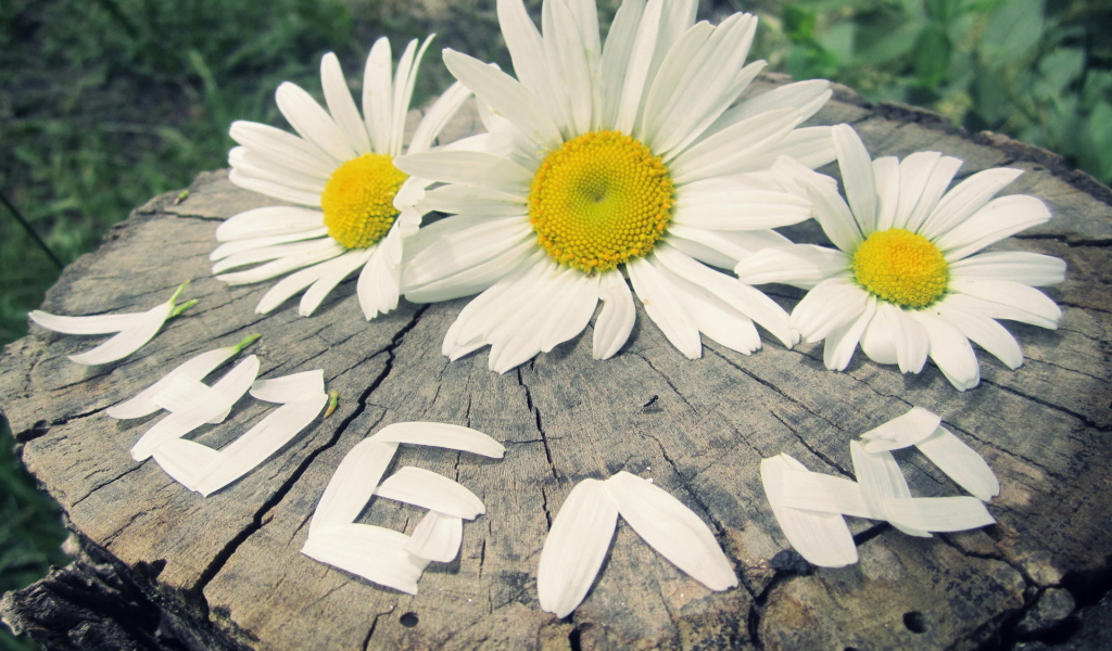 надпись Люблю