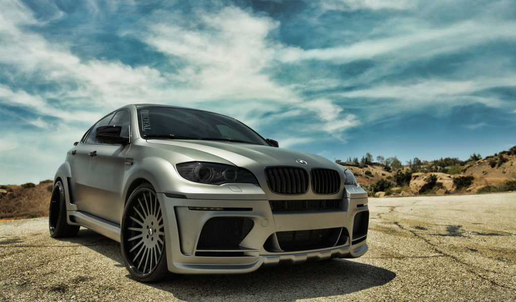 BMW X6