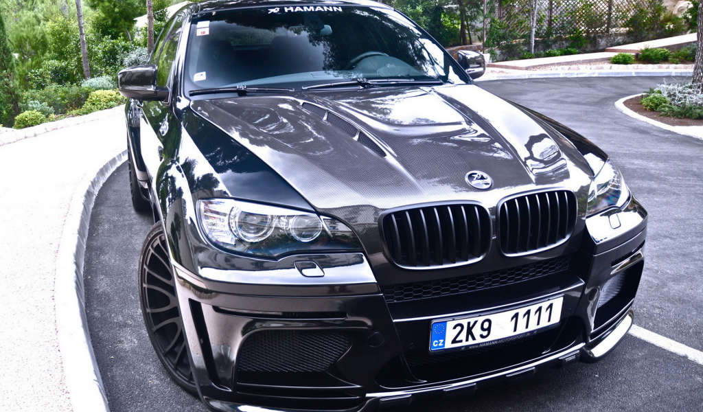 BMW X6 Hamann