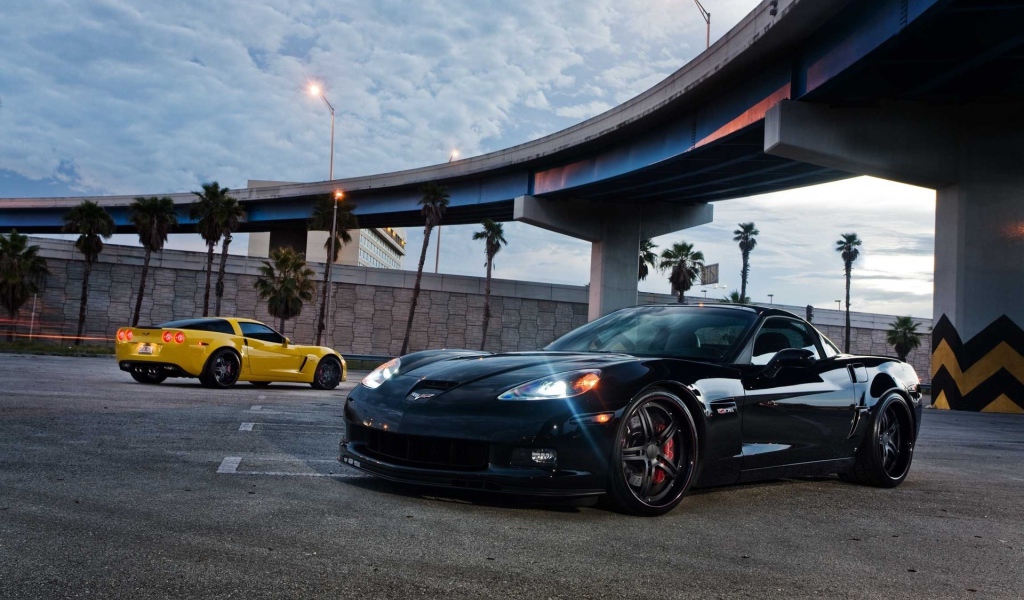 Chevrolet Corvette Z06 под мостом