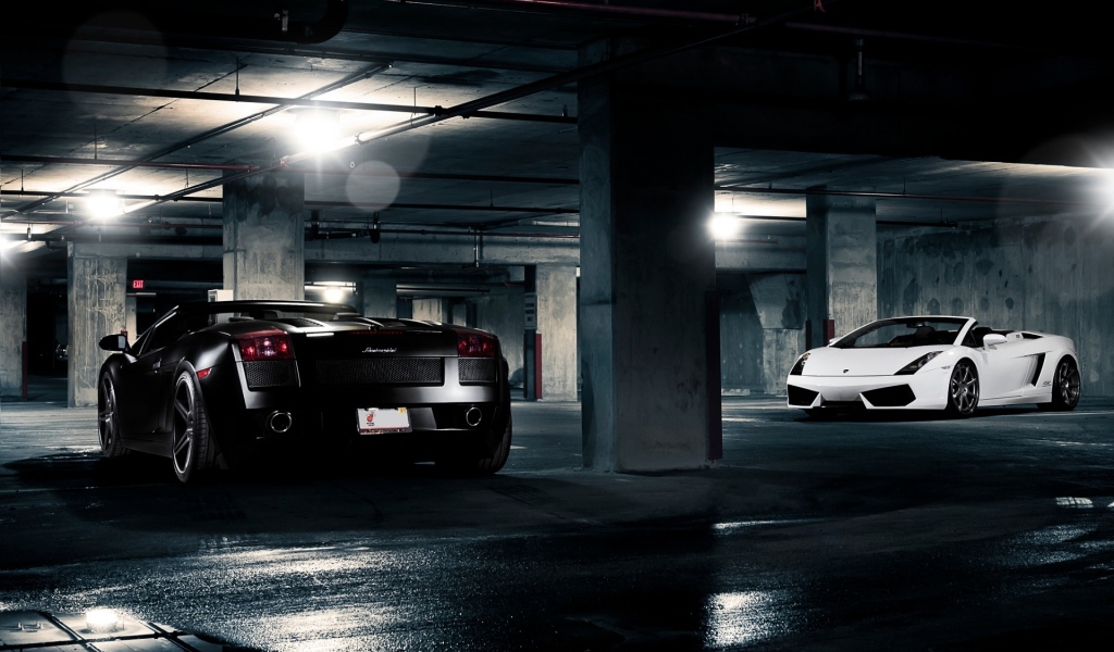 Lamborghini Gallardo White and Black