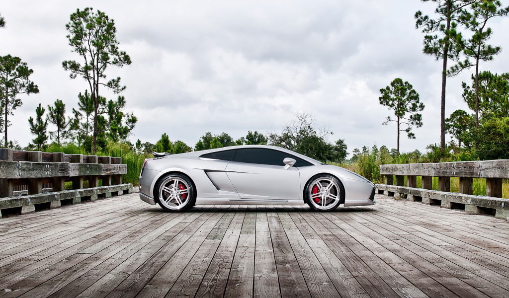 Performance Lamborghini Gallardo