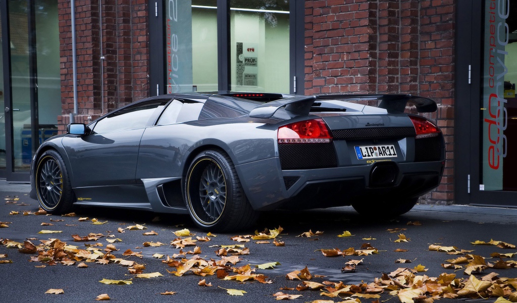 Lamborghini Murcielago вид сзади