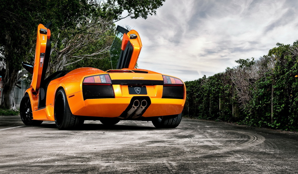 спортивный Lamborghini Murcielago