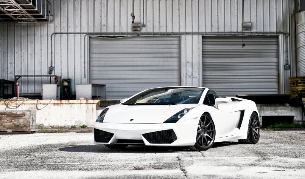 white Lamborghini Gallardo