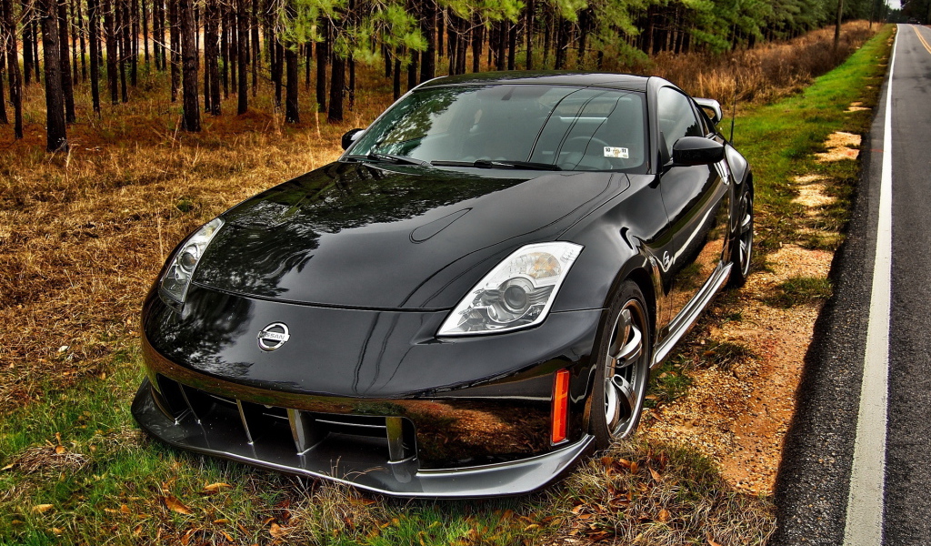 Nissan 350Z на обочине