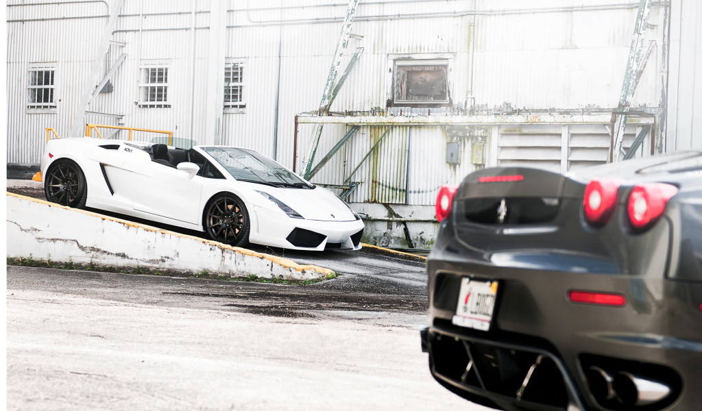 Lamborghini Gallardo and Ferrari