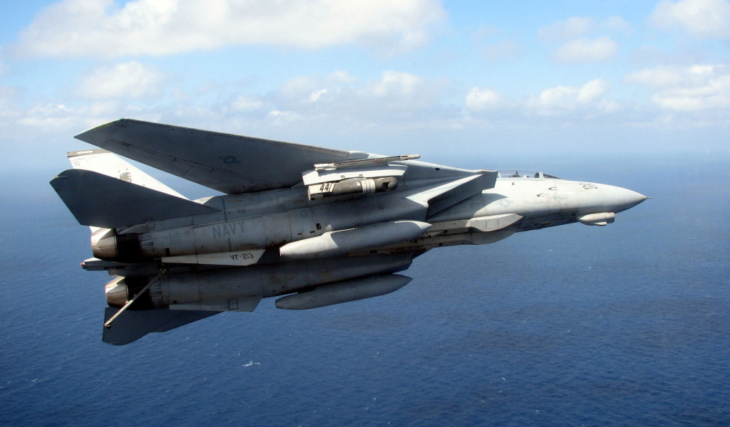 Grumman F-14 Tomcat