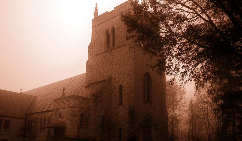 Замок в тумане