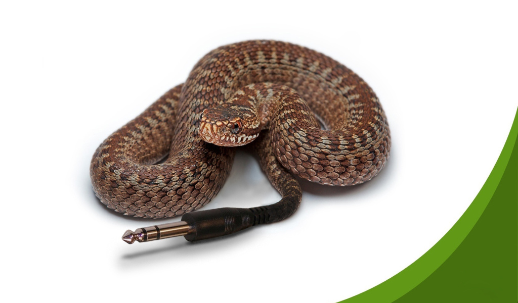 Компьютерная змейка