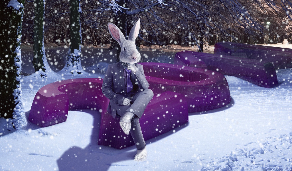 2011 Год зайца