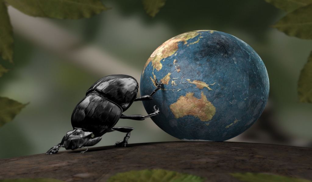 Жук навозник