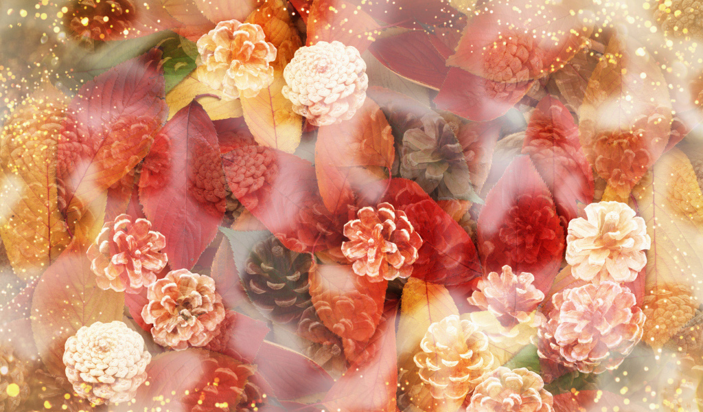 Шишки и листья