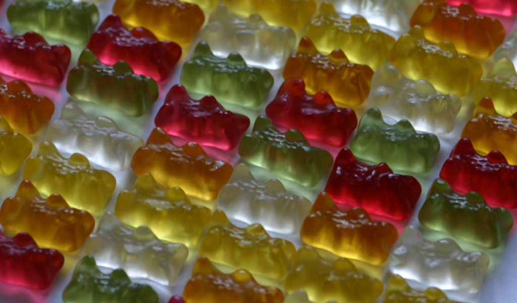 Жевательные медведи