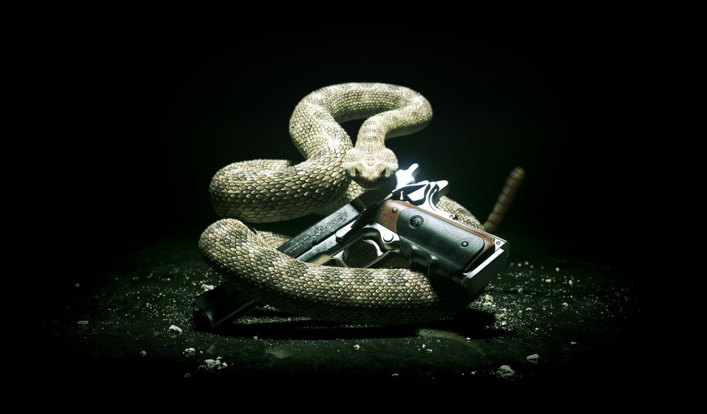 Змея и пистолет