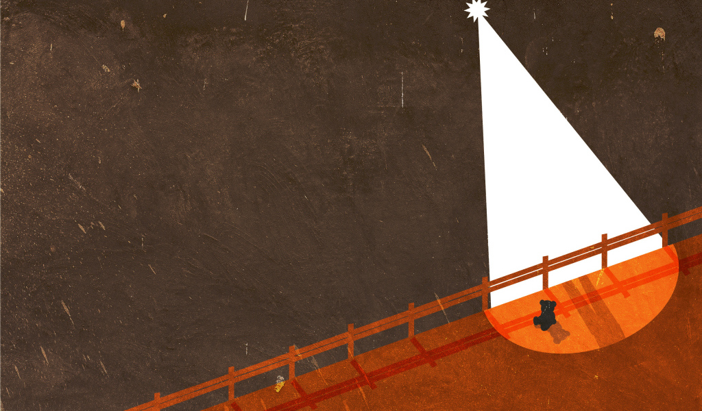 Медвежонок под звездным светом