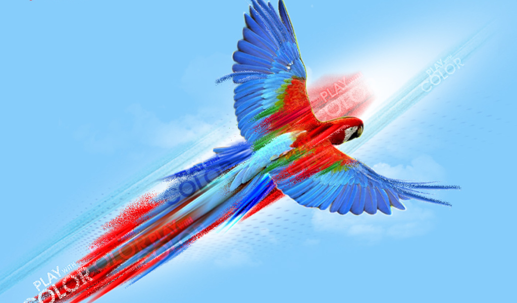 Попугай картина