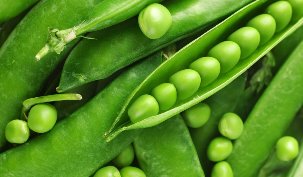 Зеленый горошек