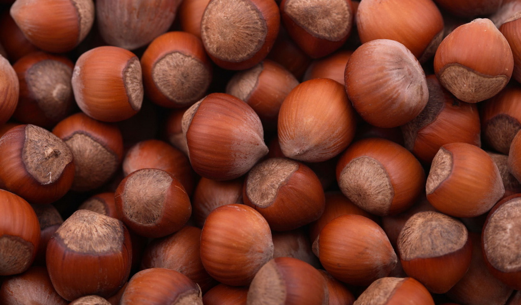 Лесные орехи
