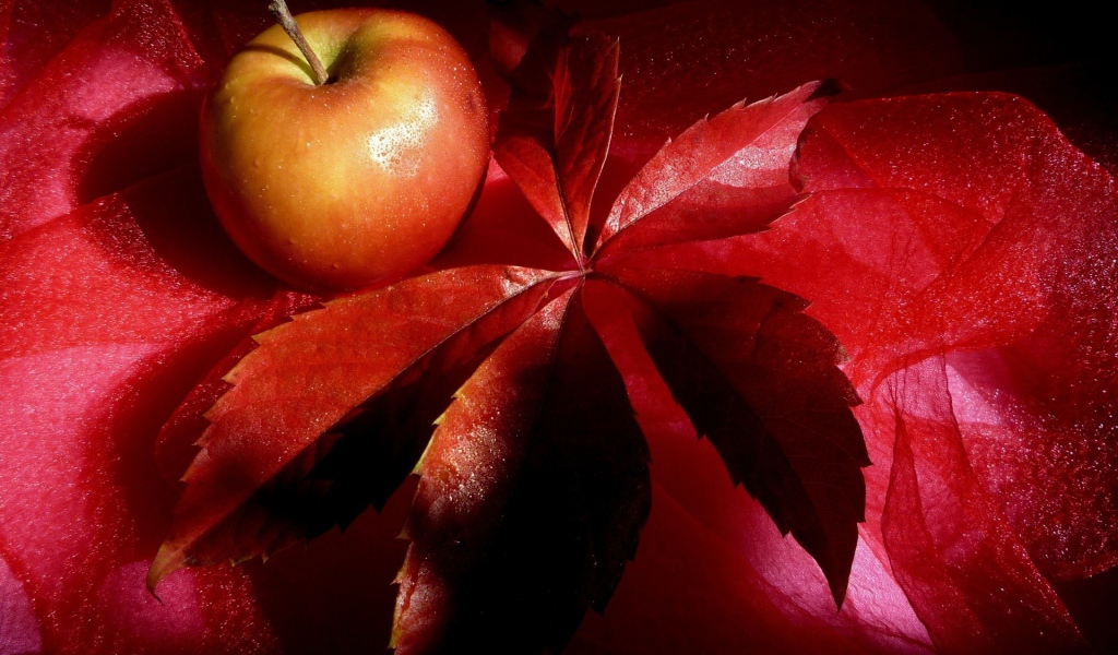 Яблоко на красном