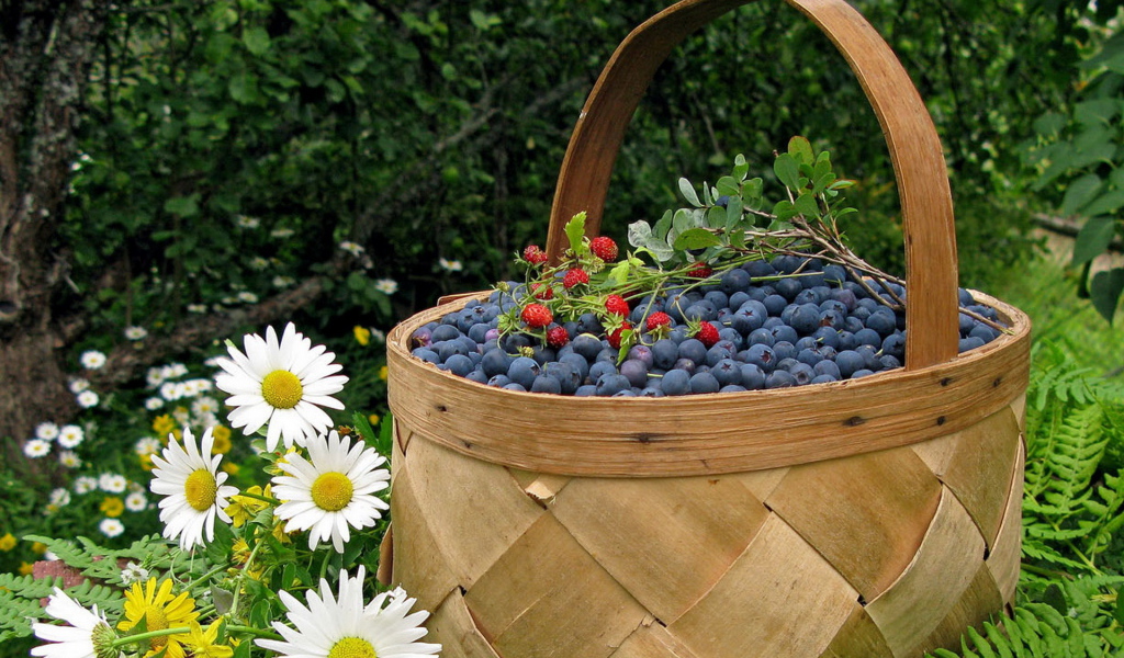 Корзина черники