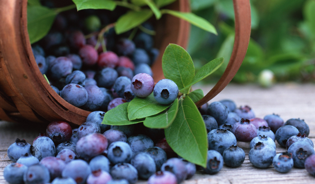 Корзинка черники