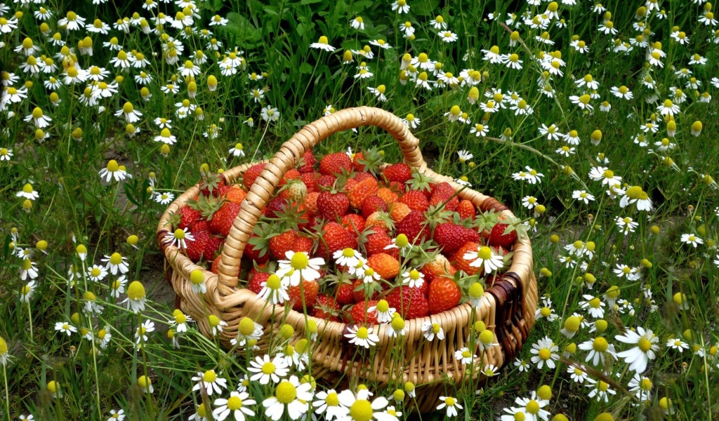 Корзинка с клубникой